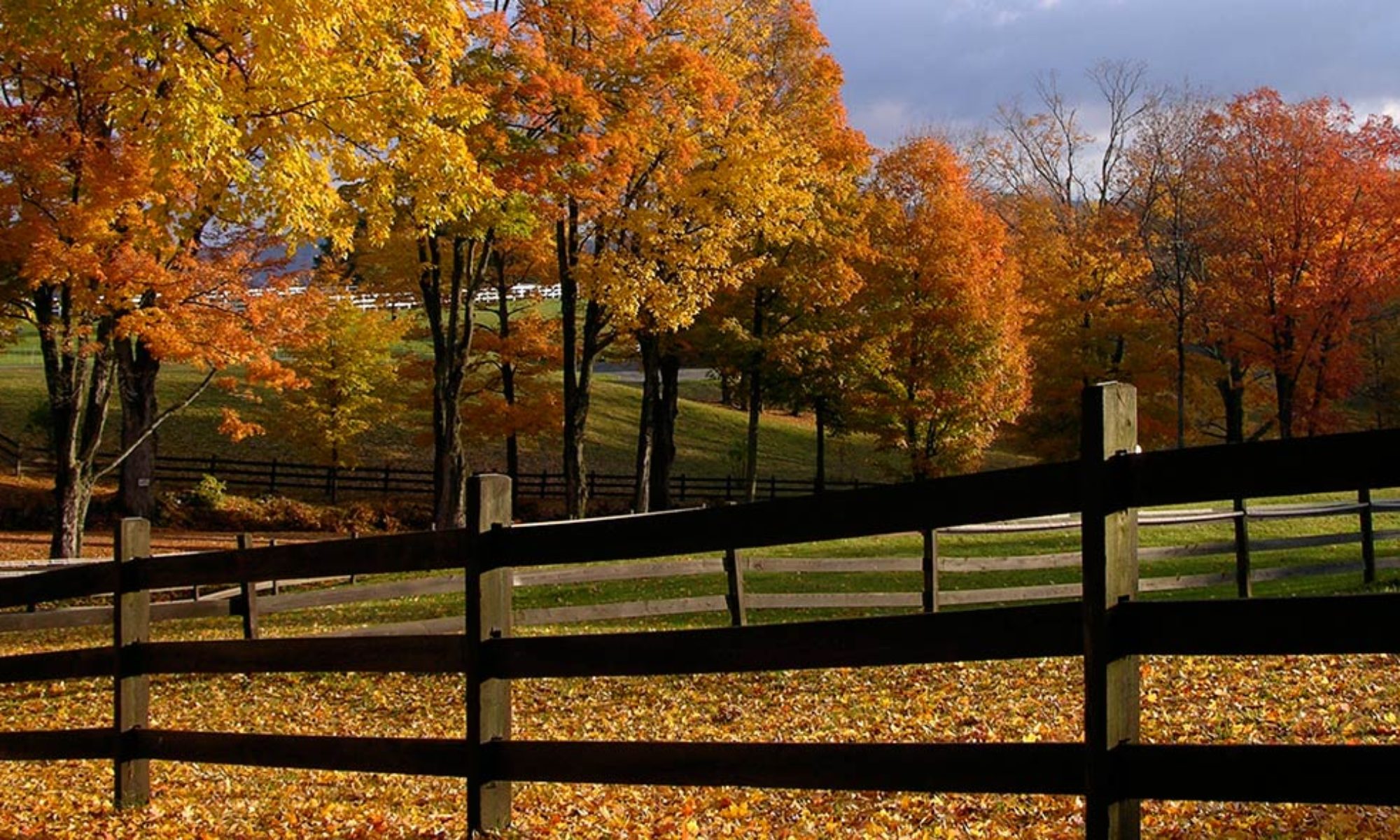 Town of Hancock, Vermont